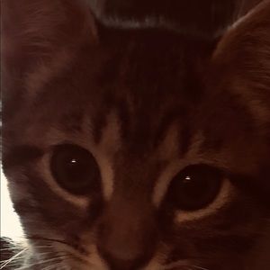 Meet your Posher, Kerry